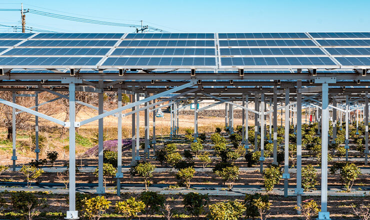 太陽光発電：営農型太陽光発電